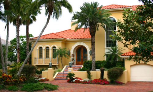 Tree Trimming Services Miami