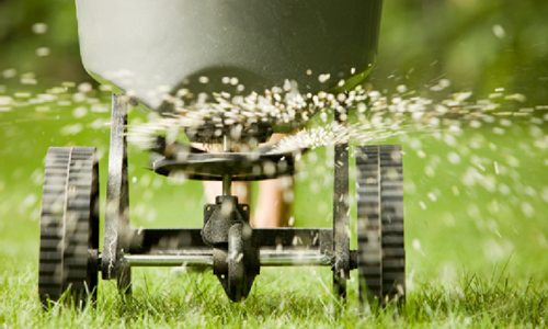 Lawn Fertilization Miami