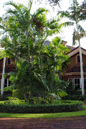 Miami Landscaping Services