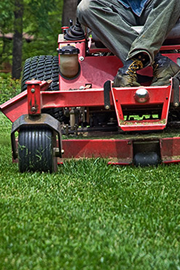 Lawn Maintenance Miami